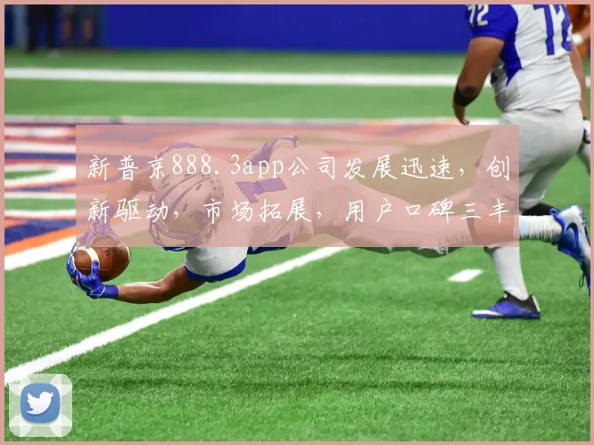 新普京888.3app公司发展迅速，创新驱动，市场拓展，用户口碑三丰收