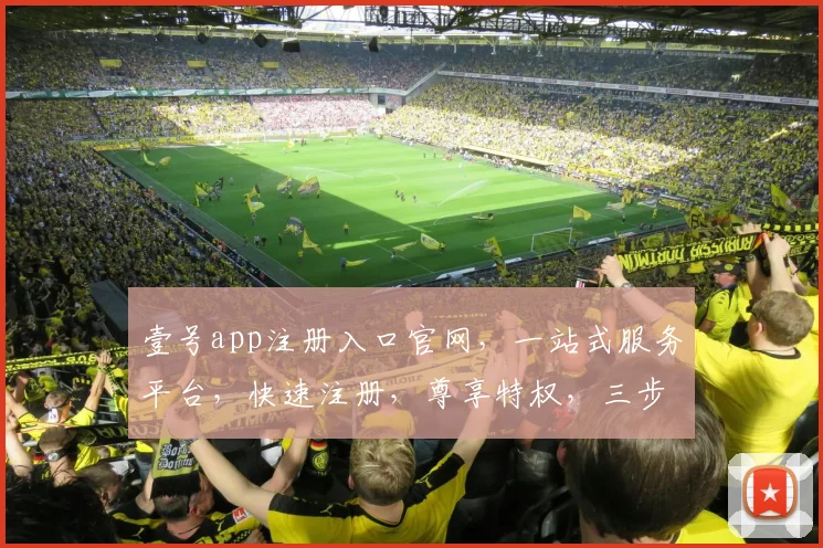 壹号app注册入口官网，一站式服务平台，快速注册，尊享特权，三步轻松搞定，体验非凡